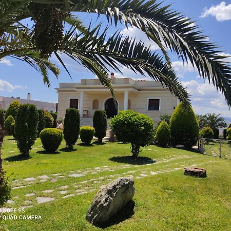 Luxury Villa Thea Volos Eksteriør bilde