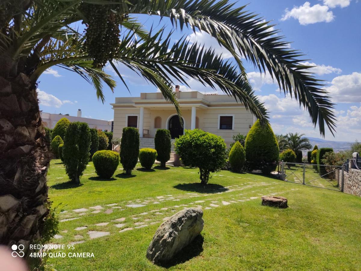 Luxury Villa Thea Volos Eksteriør bilde