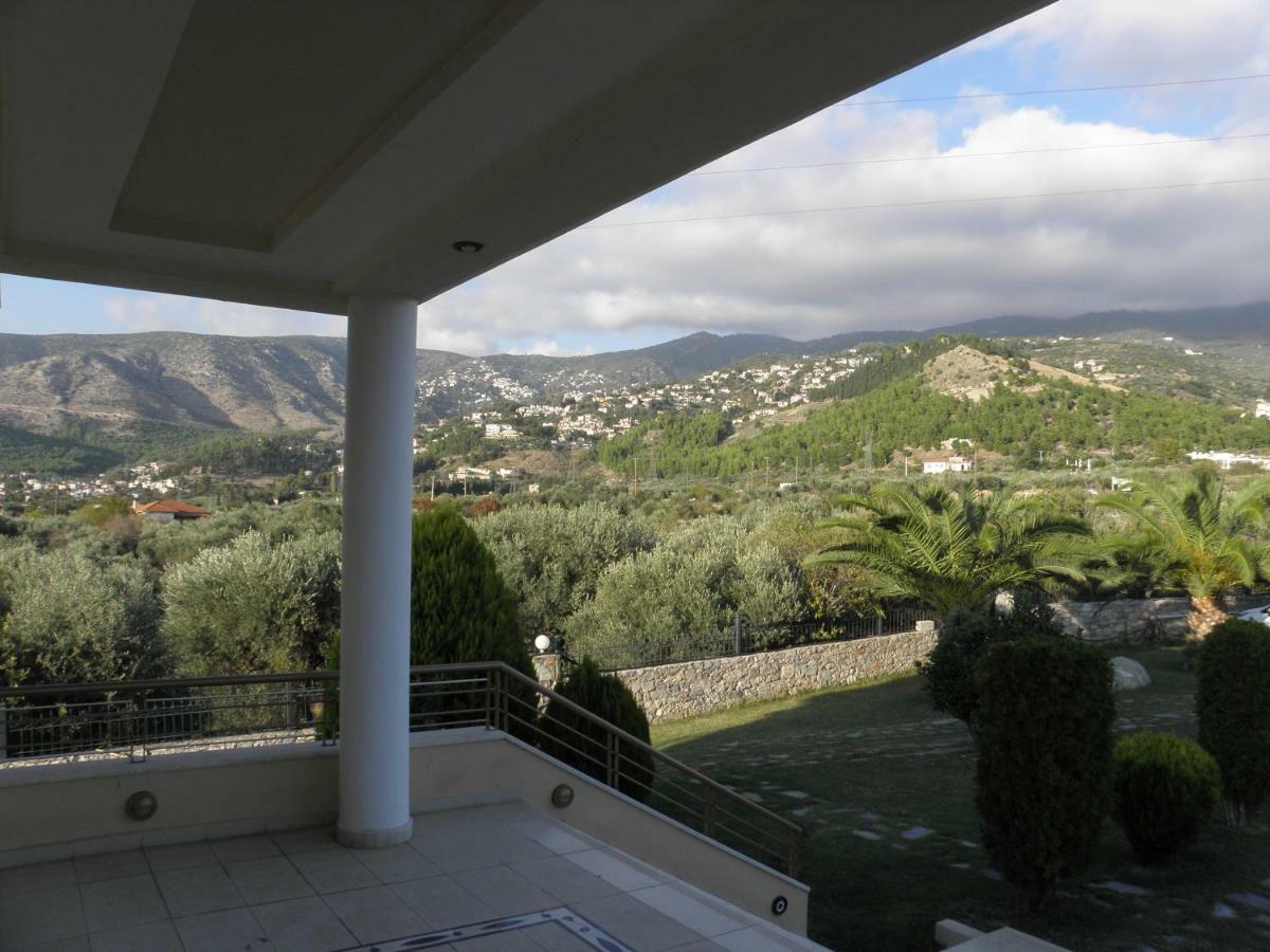 Luxury Villa Thea Volos Eksteriør bilde