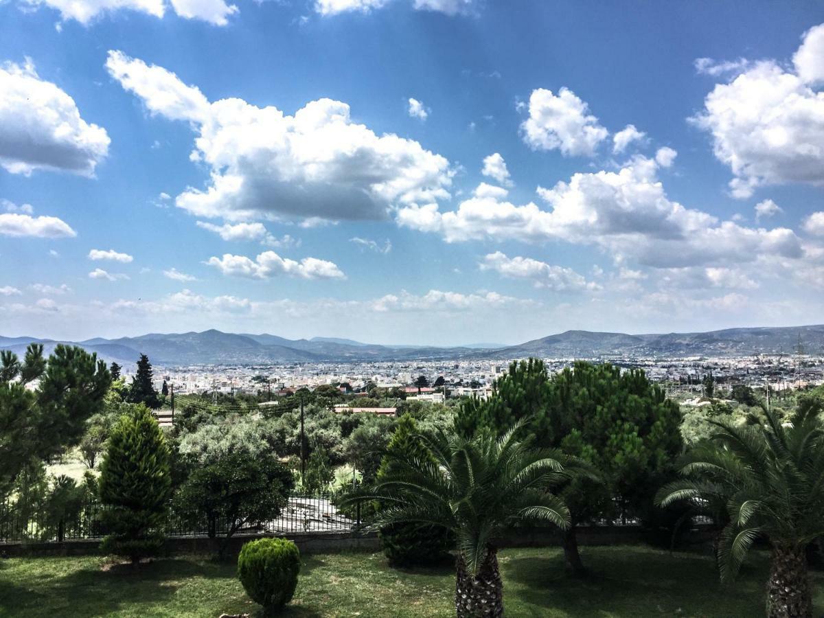 Luxury Villa Thea Volos Eksteriør bilde